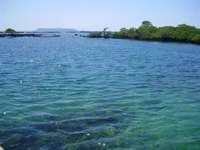 Turismo en America Latina - Galápagos